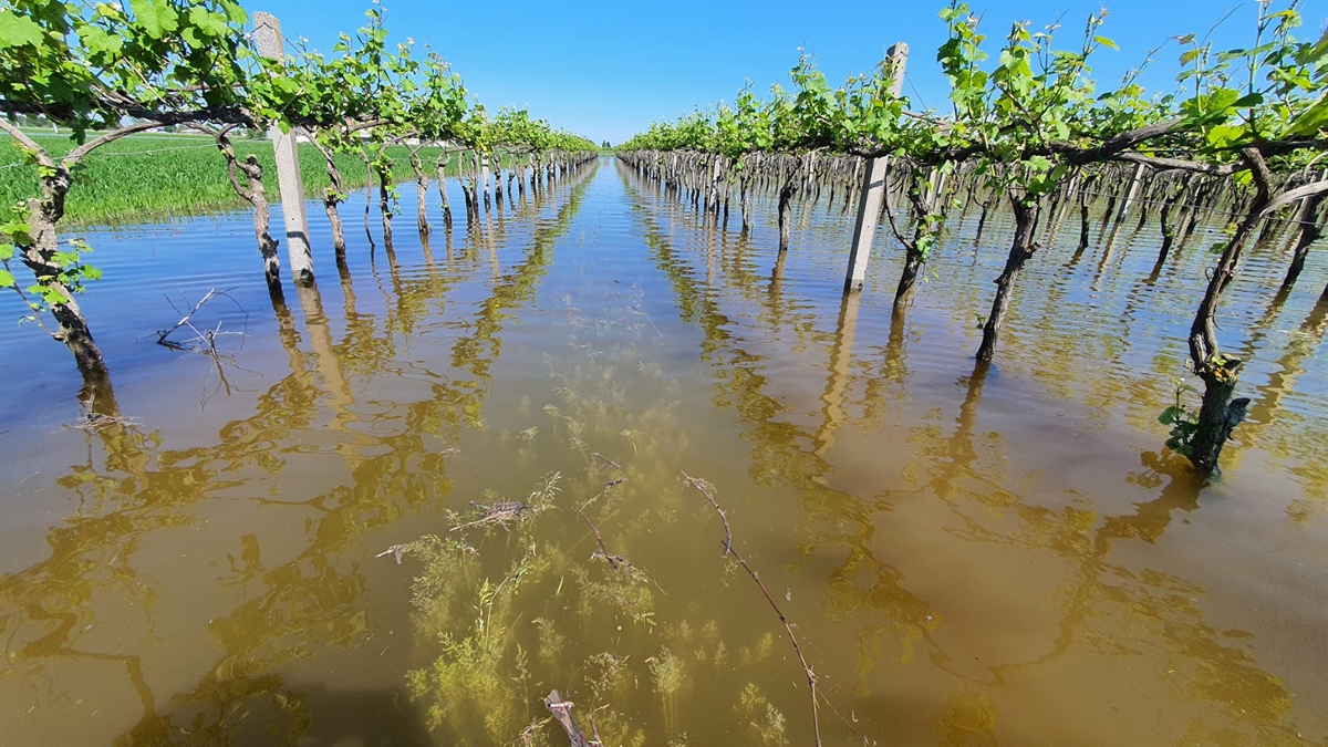 Dl Alluvione «Si da respiro a imprese colpite. Grazie al governo che ha ascoltato nostre richieste»