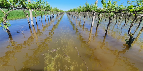Dl Alluvione «Provvedimento giusto da respiro alle imprese colpite. Grazie al governo che ha ascoltato le nostre richieste» 