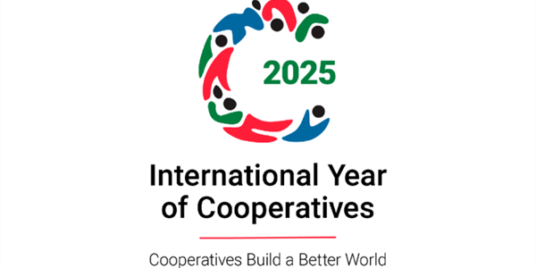 Cooperative, "Una testa, un voto": la democrazia economica che trasforma il mondo 