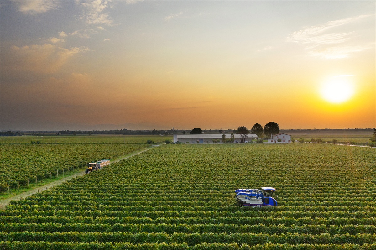 QUALE FUTURO PER LA POLITICA AGRICOLA COMUNE?