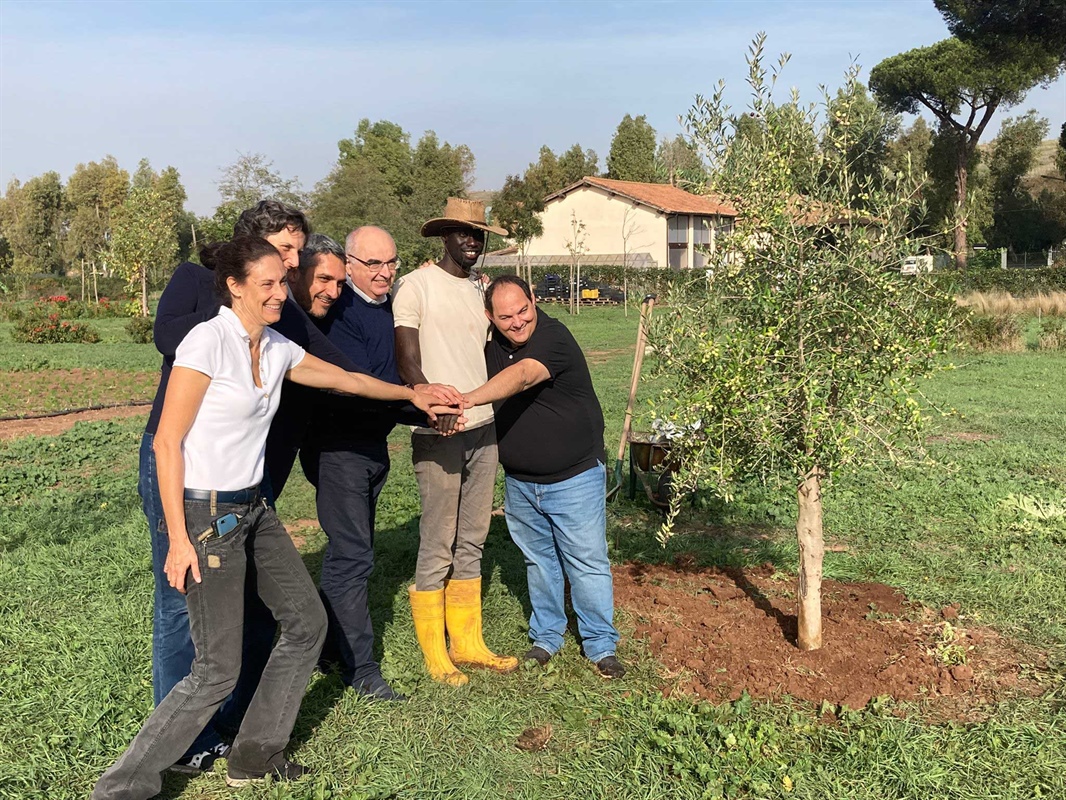 Il frutteto solidale