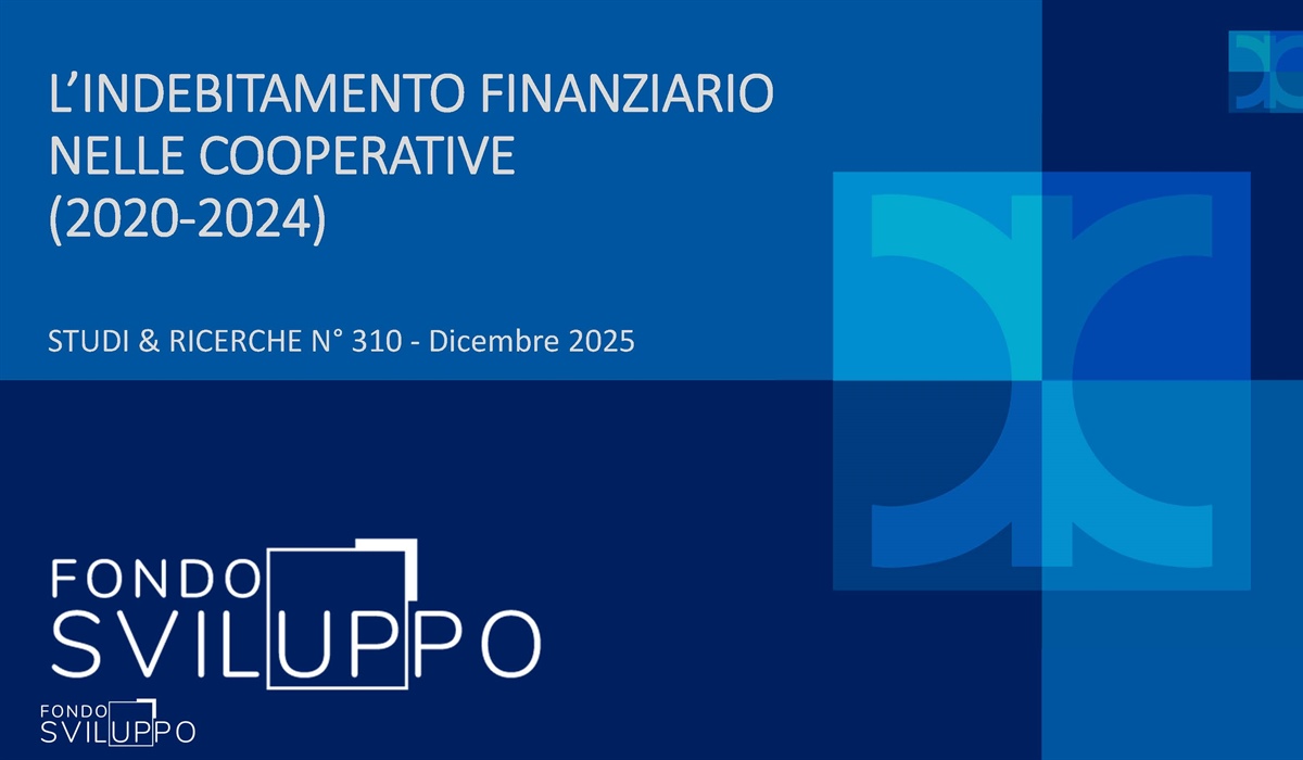 L’INDEBITAMENTO FINANZIARIO NELLE COOPERATIVE (2020-2024) 