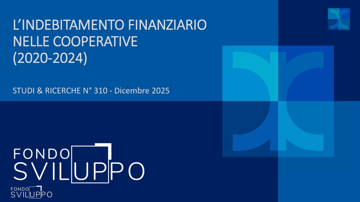 L’INDEBITAMENTO FINANZIARIO NELLE COOPERATIVE (2020-2024)