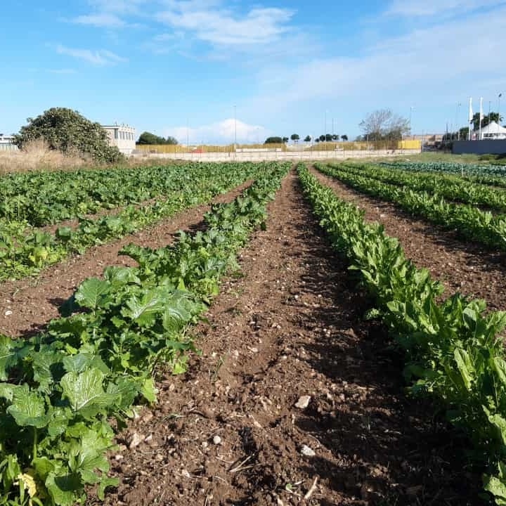 Fondosviluppo e Fondazione con il Sud, l'alleanza per la crescita del Mezzogiorno