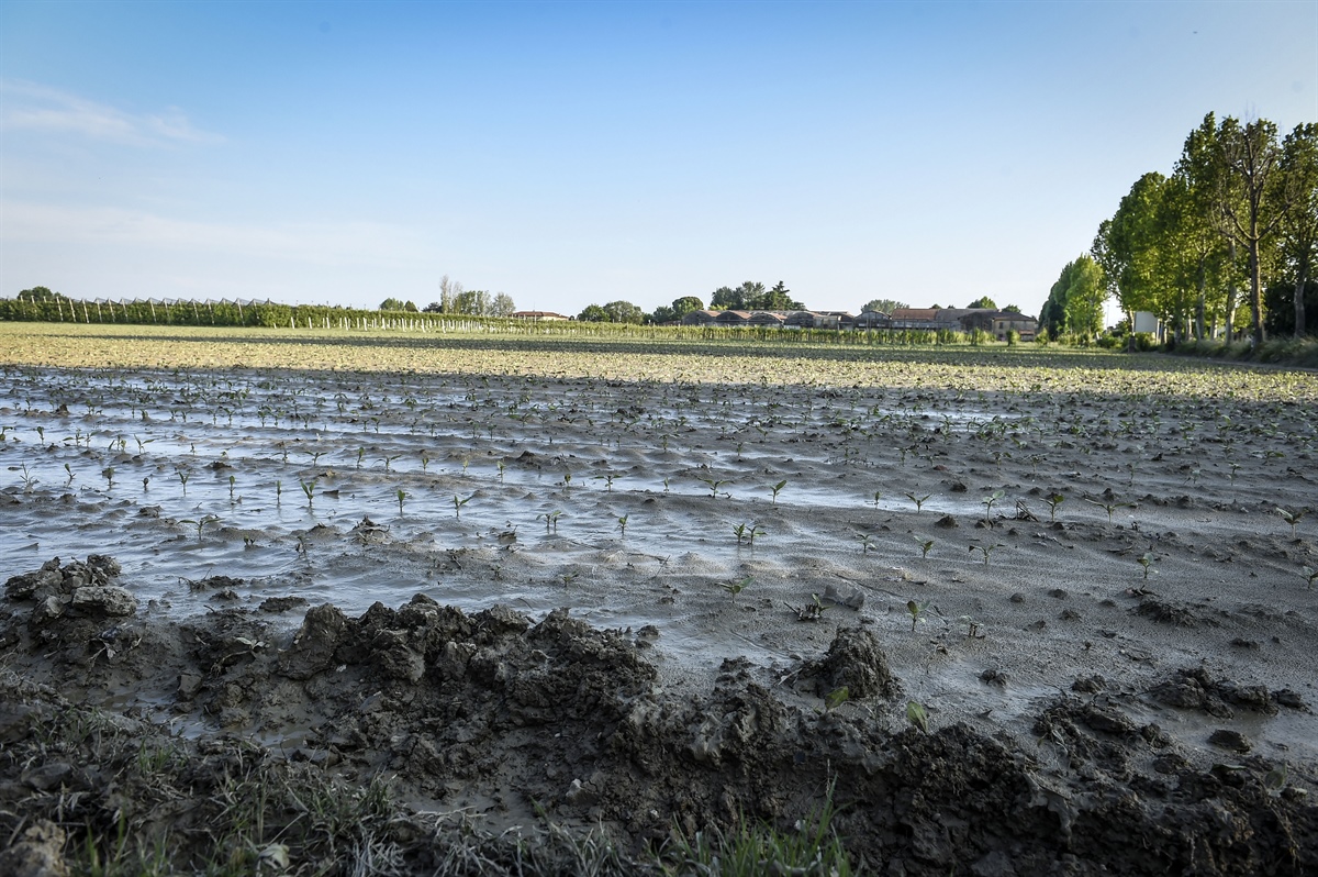 DL Maltempo, Gardini: «Misure concrete di sostegno alle comunità colpite»