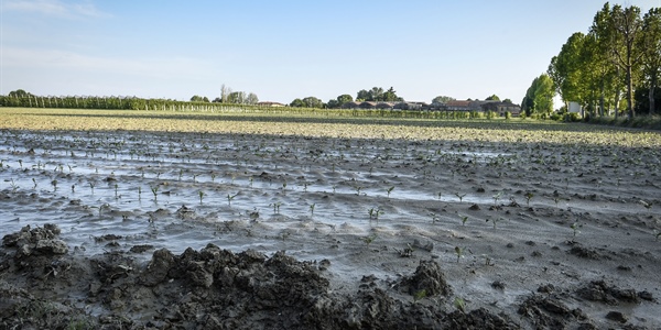 DL Maltempo, Gardini: «Misure concrete di sostegno alle comunità colpite» 