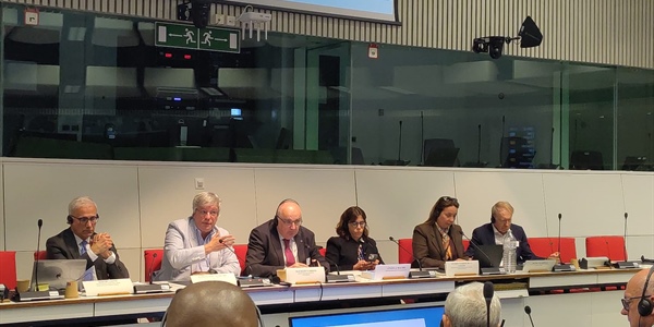 Economia sociale, dopo riconoscimento UE serve quadro normativo adeguato 