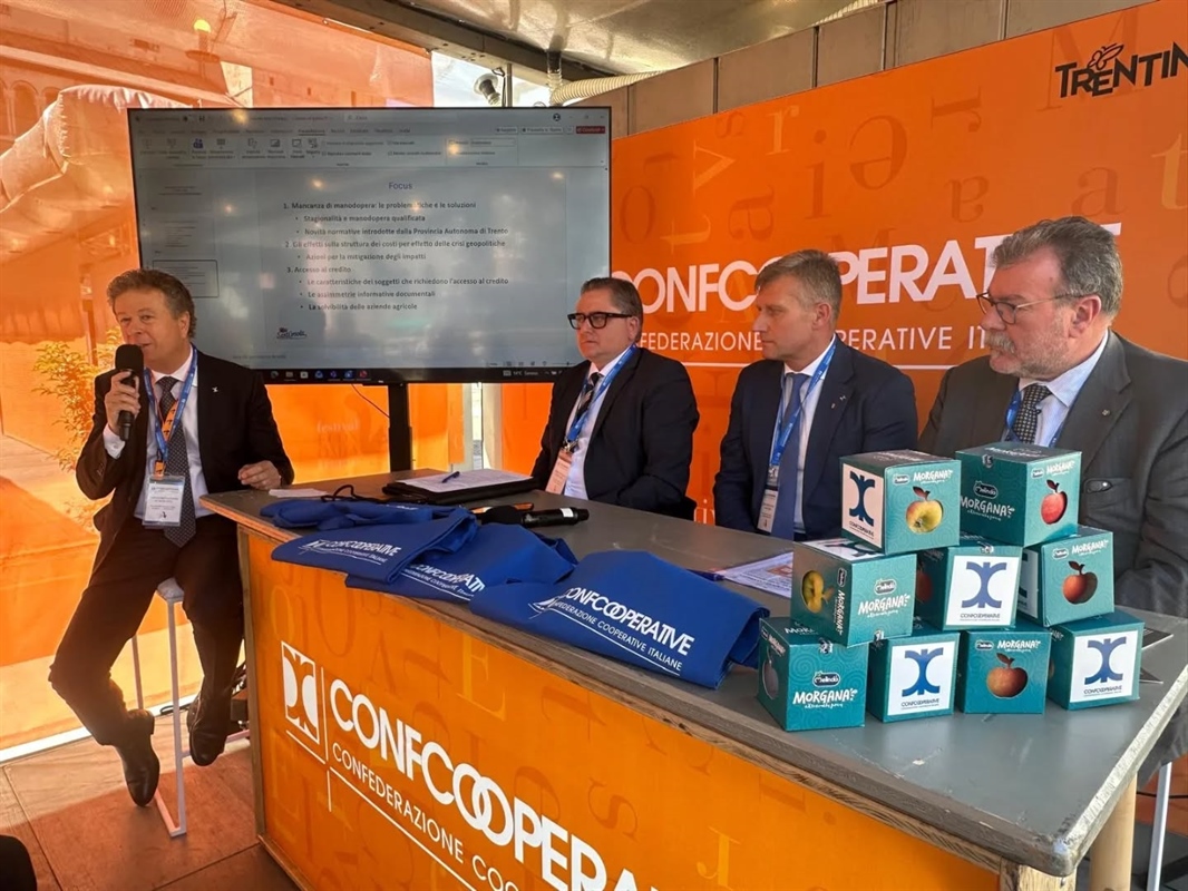 Mercuri: “Oltre 70 miliardi di export nel 2025. La cooperazione è il made in Italy nel mondo”