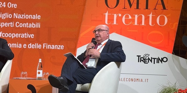 Fisco, Gardini: «Avanti con l'approvazione dell'Action Plan» 