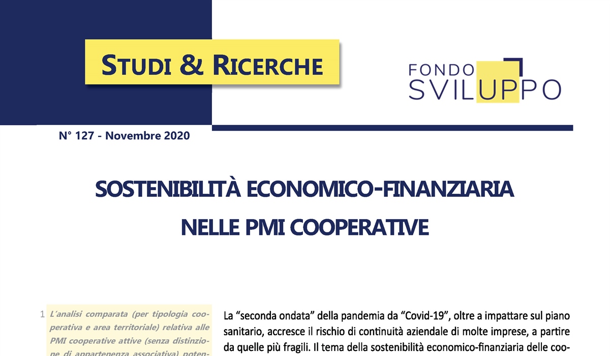 SOSTENIBILITÀ ECONOMICO-FINANZIARIA  NELLE PMI COOPERATIVE 