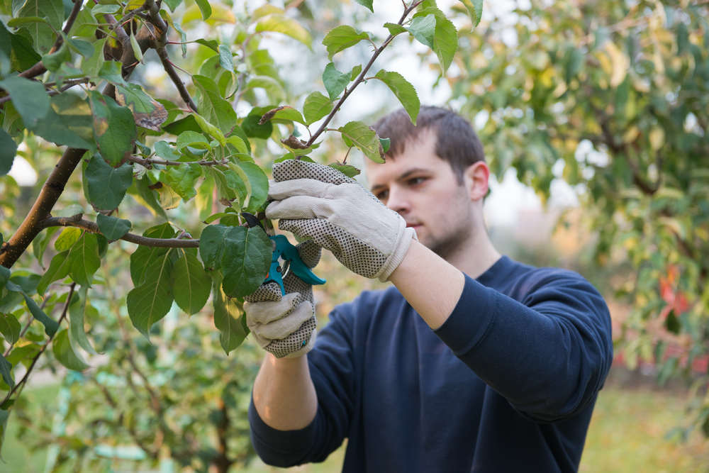 Cooperative agricole: rinnovato il contratto collettivo nazionale