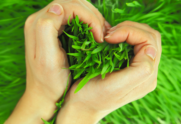 Expo, “Nutrire i territori: qualità dei servizi, qualità della vita”