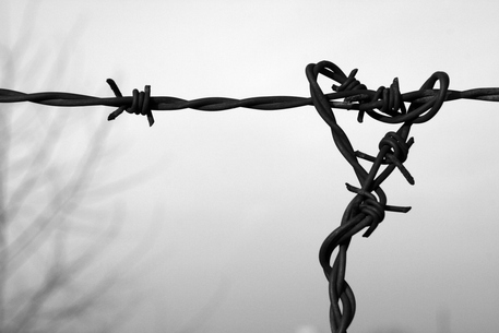 La giornata della memoria